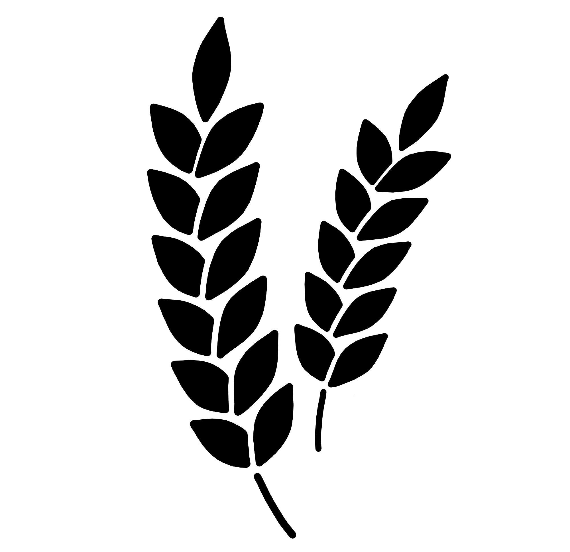 grain icon